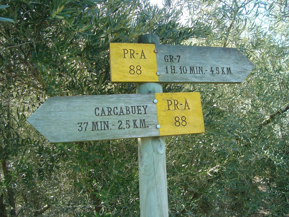Вілла Casilla Dalea En Carcabuey, Descubre El Interior De Andalucia Екстер'єр фото