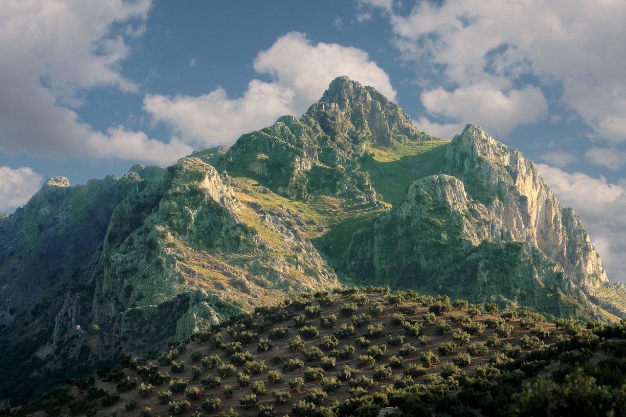 Вілла Casilla Dalea En Carcabuey, Descubre El Interior De Andalucia Екстер'єр фото